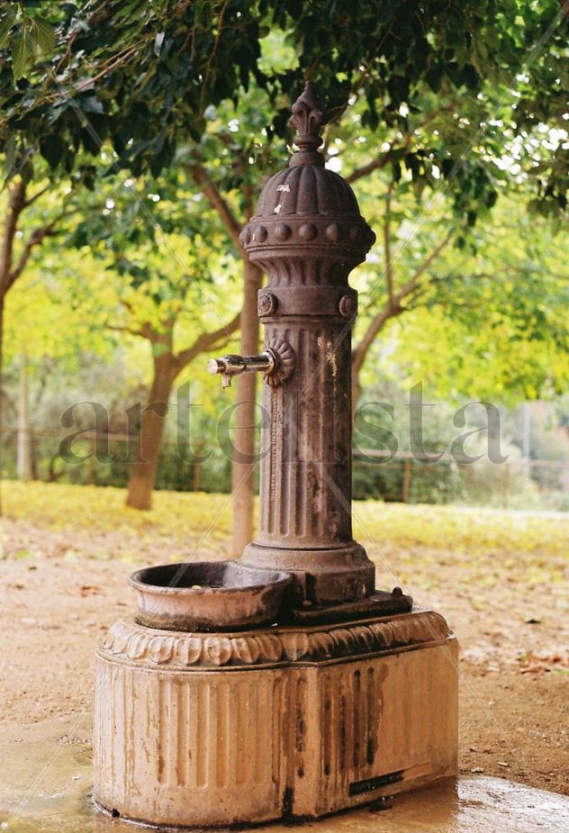 Fuente publica