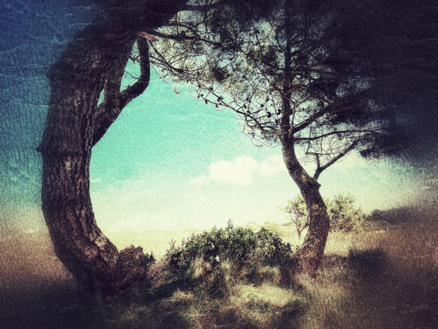 Éxtasis quieto Other Themes Color (Digital)