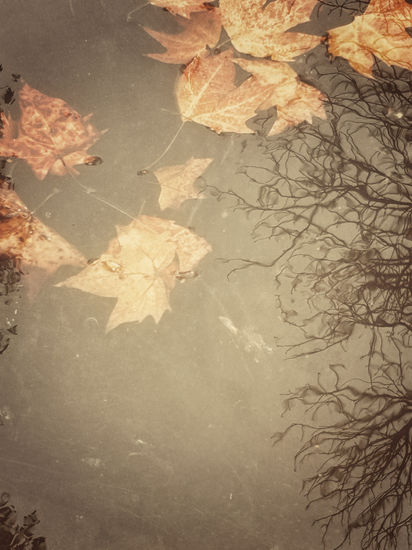 Umbral dorado Otras temáticas Color (Digital)