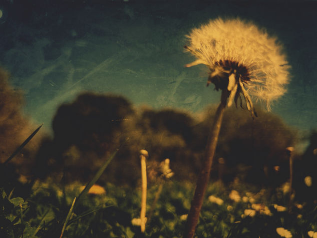 Víspera de lo eterno Nature Color (Digital)