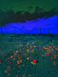 Anatomía del sueño