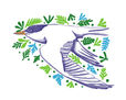 gaviota sudamericana