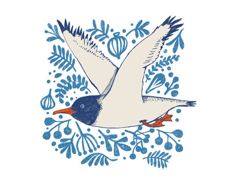Gaviota de cahuil