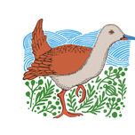 aves de los humedales - pichilemu - chile thumbnail 2
