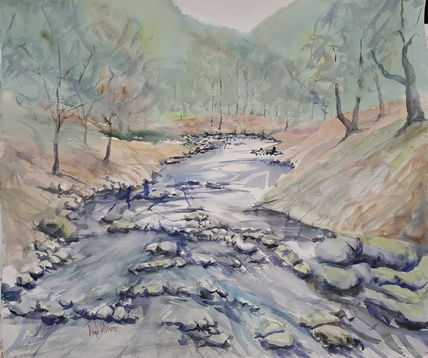 Naturaleza 12