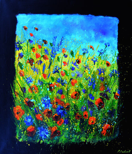 Wild flowers  6726