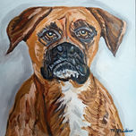 Animales thumbnail 1