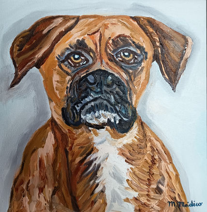 Perro Boxer ( Boi )