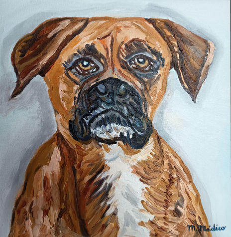 Perro Boxer ( Boi )