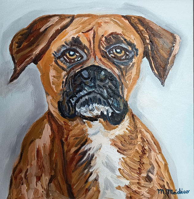 Perro Boxer ( Boi )