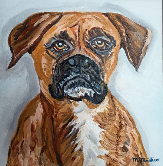 Perro Boxer ( Boi ) Oil Canvas Animals
