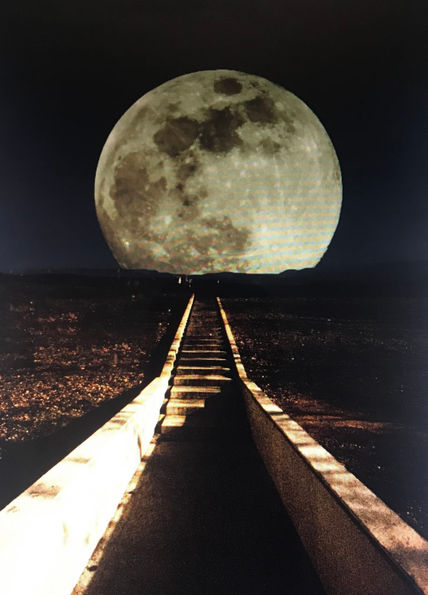 Luna en parque
