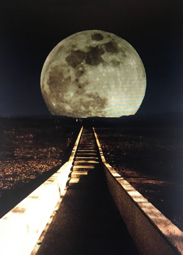 Luna en parque