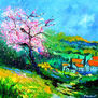 Blooming Provence