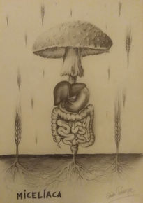 Miceliaca