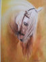 Cabeza de caballo