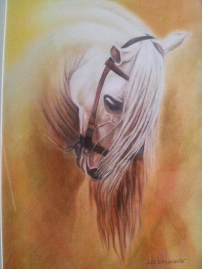 Cabeza de caballo Pastel Papel Animales