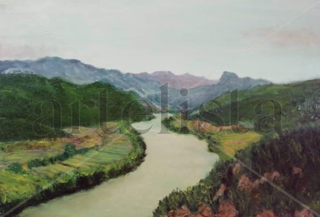 Lo riu Ebre al seu pas per Miravet