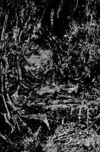 Bwx-11-in the night
