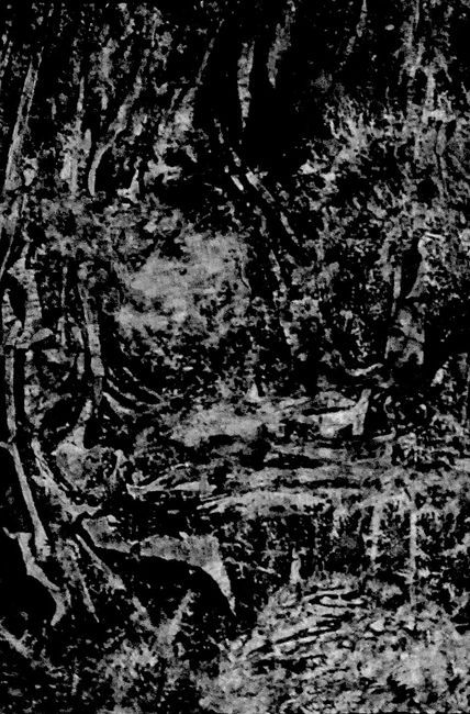 Bwx-11-in the night