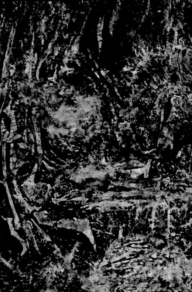 BWX-11-IN THE NIGHT