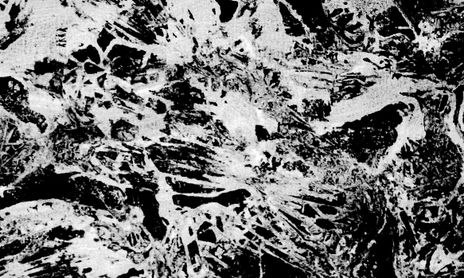 Ana Duppa - BNW Original Paintings
