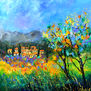 Provence