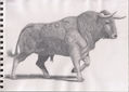 Toro