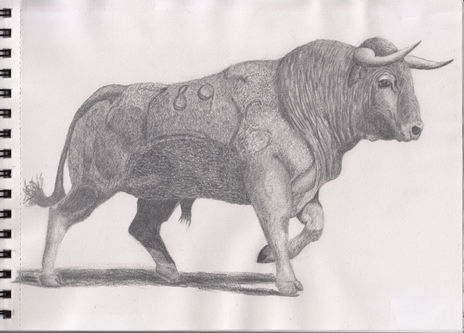 Toro
