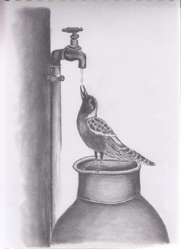 Pájaro bebiendo