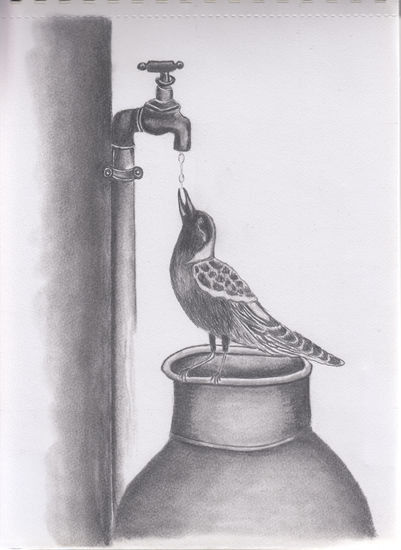 Pájaro bebiendo Graphite