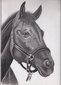 Cabeza de caballo