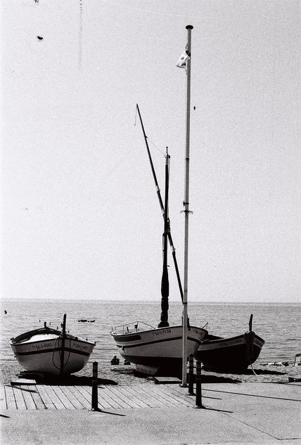 Barcas en pineda de...