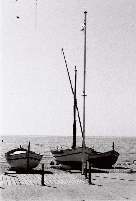 Barcas en pineda de...