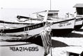 Barcas pineda...