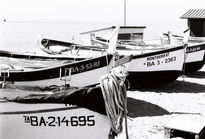 Barcas pineda...
