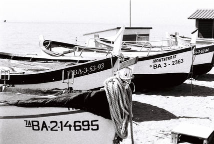 Barcas pineda...