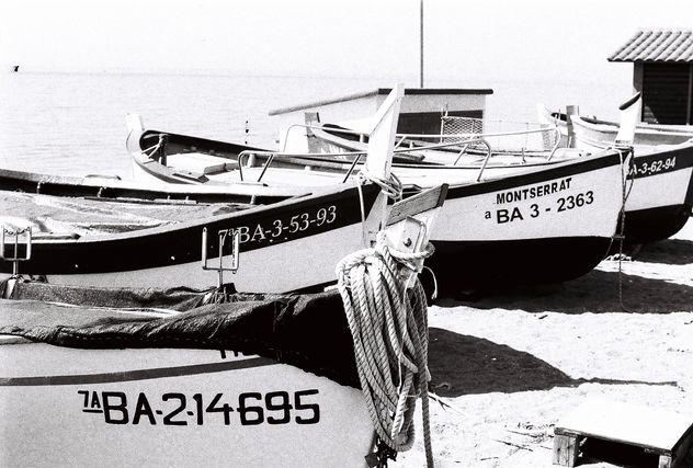 Barcas pineda blanco y negro