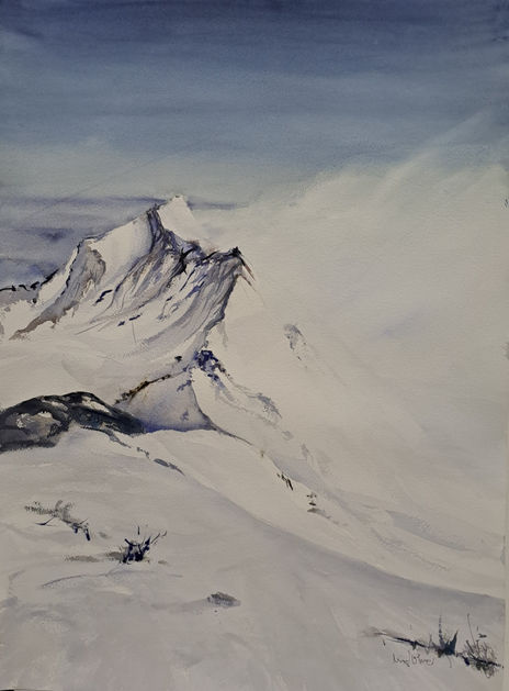 Montañas nevadas