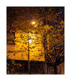 Street Light