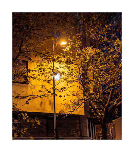 Street Light