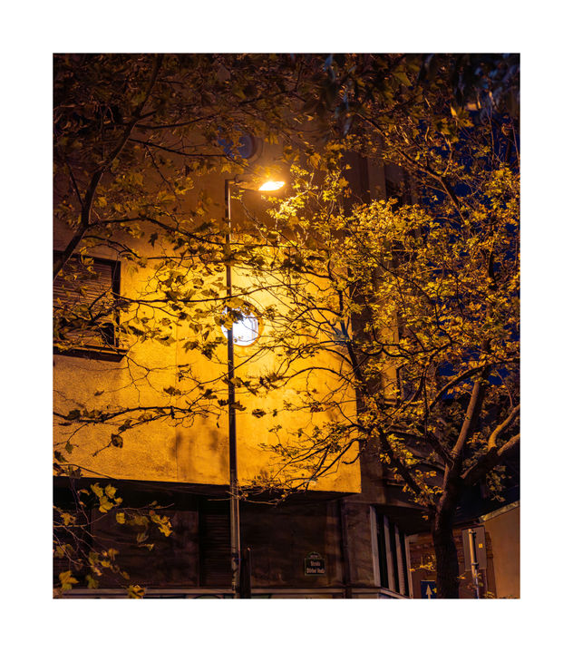 Street Light