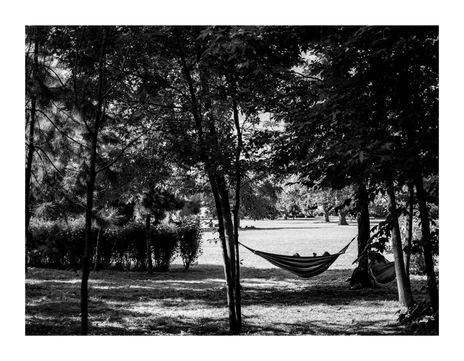 Hammock