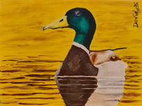 Pato en Aguas Doradas