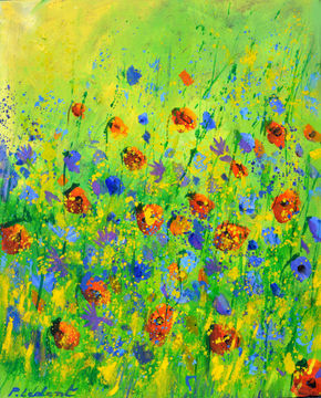 Red poppies Blue...