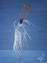 La bailarina