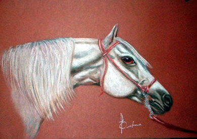 HORSE Pastel Paper Animals