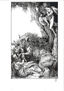 Heracles y el jabalí