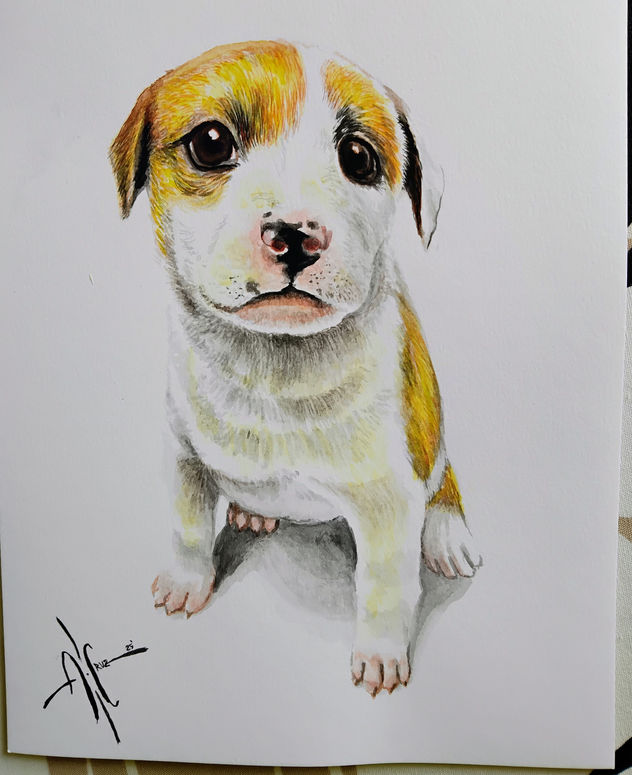 CACHORRO