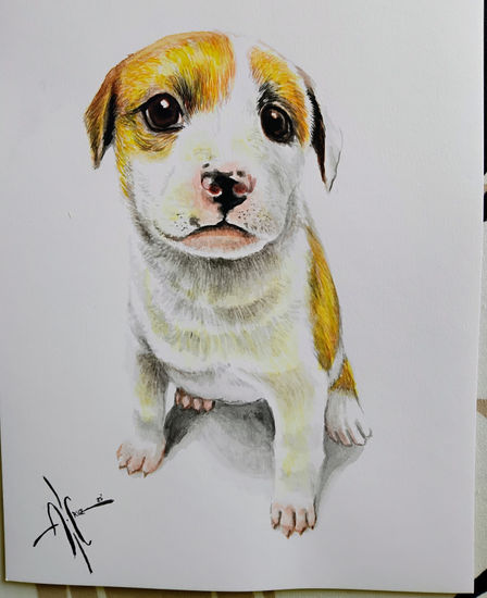 CACHORRO Acuarela Papel Animales